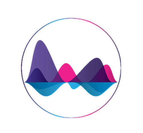 Intraspeaker and interspeaker variability in the context of speaker identification workshop